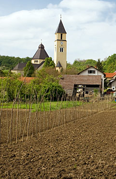 Krašić District